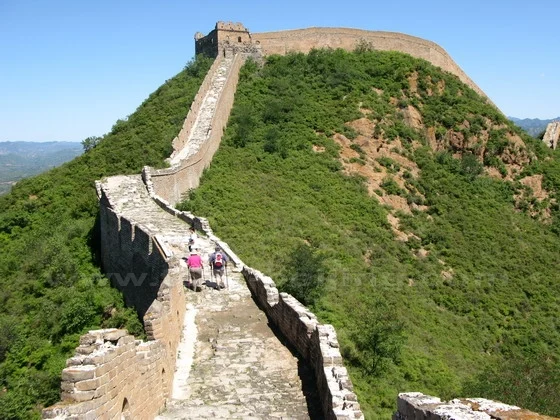 Jinshanling Great Wall climbing a green ridge towards a watchtower
